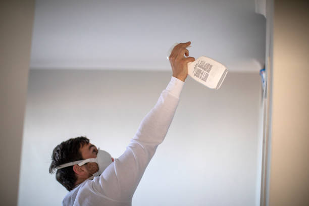 Best Professional Mold Removal  in Lake In The Hls, IL