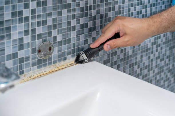 Best Home Mold Removal  in Lake In The Hls, IL