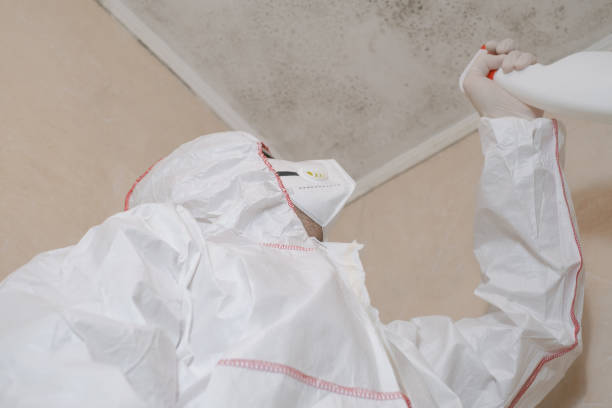 Best Water Damage Restoration  in Lake In The Hls, IL