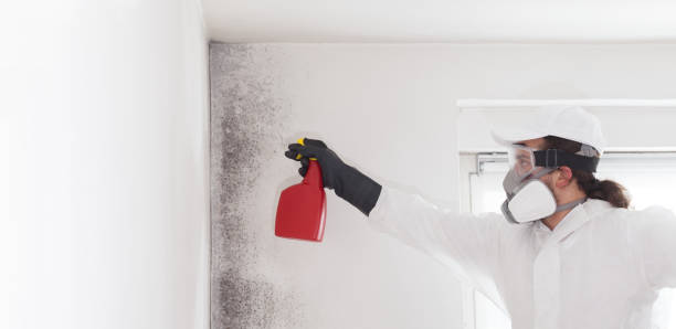 Best Mold Testing  in Lake In The Hls, IL